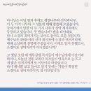 하늘생명나무