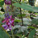 별망성지 이미지