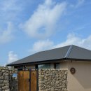 사계연화 이미지