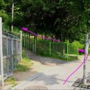 문화예술회관 진입로 이미지