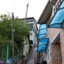 완산-109 | 전주 완산공원 칠봉 꽃동산 겹벚꽃 실시간 현황