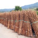 동락2리마을회관 티스토리