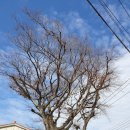 두모경로당 이미지