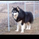 러브농장 이미지