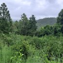 상예2마을회관 이미지