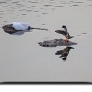 신정1리(도감말) 경로당 | 팔당으로의 여정..