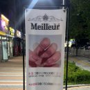 네일메이에르 이미지