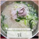밀곶 | [서귀포 맛집] 현지인 추천 고기국수 보말칼국수 제주돼지탕수육 맛집 "밀곶" (내돈내산, 솔직후기)