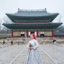 소울버드스냅 이미지