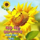 수림결혼정보 이미지