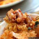 아구박사 Daum카페