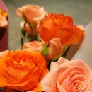 카페거기 이미지