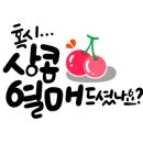 딸기다방 - 경주시 | 딸기다방
