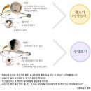 법성굴비영광 이미지