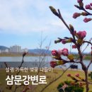 삼문강변로 이미지