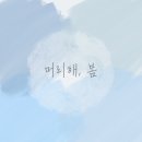 머리해봄 이미지