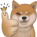 펫바스로 동탄 이미지