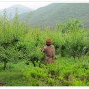 에코펜션 이미지