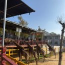 신장_어린이2호(새고향) | 중국 | 웨이하이 | 추억의 맛을 찾아서 ②