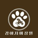 강아지미장원 이미지