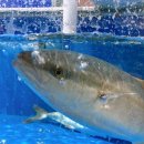 청정플러스수산 이미지