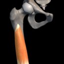 짐워너비 이미지