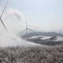 잔다리목장 이미지