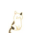 멍때리는 고양이 이미지