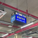 보람수산 | 보람이네 : 영흥도 회센터 수산시장 회맛집 '내돈내산 솔직후기'