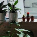 카페플러스82 파주운정점 이미지