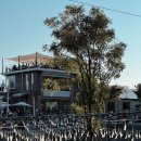 무진목장 이미지