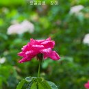 윗골 이미지