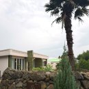 스테이 캄캄 이미지