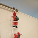 엘바피부샵 이미지