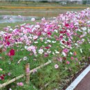 생활 중국어회화 기초 이미지