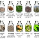 아토펫 이미지