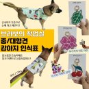 중대형견 강아지인식표 추천! &#34;브라보의작업실&#34;(*임보 이벤트당첨)