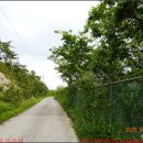 유천리 삼거리 이미지