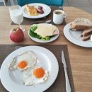 “아침 식사가 다이어트, 혈당 조절 성패 가른다”…전문가들이 추천하는 식단 팁 이미지