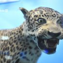 땅끝해양자연사박물관 이미지