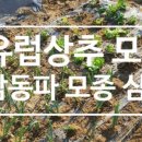 삼동농장 이미지