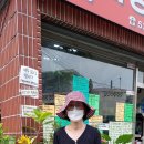 봄약국 앞 이미지