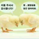 2000 기원을 위한 댓글 200개 도전~~&amp;경품(책):판정은 에밀느님이~ 이미지