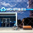 새버팀목 투어코리아