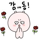 제주삼다냉면