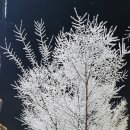 트루엘공인중개사사무소 이미지