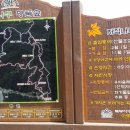 자작나무힐 이미지