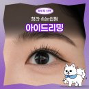 꼼꼼한조명 | 청라 속눈썹펌 아이드리밍 | 유지력 좋은 눈매 맞춤 꼼꼼한 후기