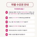 SNPE바른자세 | 수완지구 필라테스 보다 효과적인 하웰 바른자세 SNPE 운동 후기