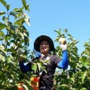 금호농장 이미지